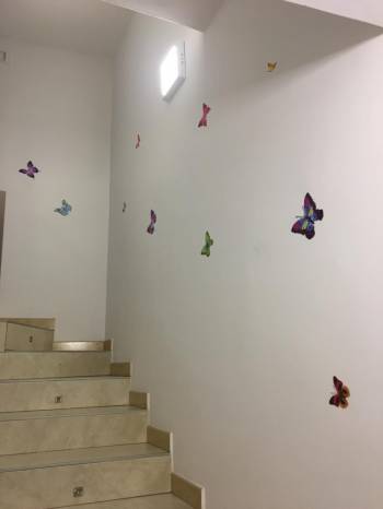 Il Cuore di Napoli24